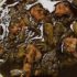 طرز تهیه خورش کرفس خوشمزه و مجلسی به روش رستورانی