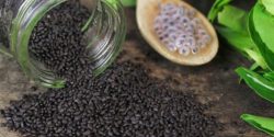 خواص تخمه شربتی برای ورزشکاران مقدار مصرف تخمه شربتی برای لاغری خواص تخمه شربتی برای پوست نی نی سایت خواص تخمه شربتی برای کبد