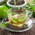 26 مورد از مهم ترین خواص و مضرات چای سبز + چه کسانی نباید بخورند!