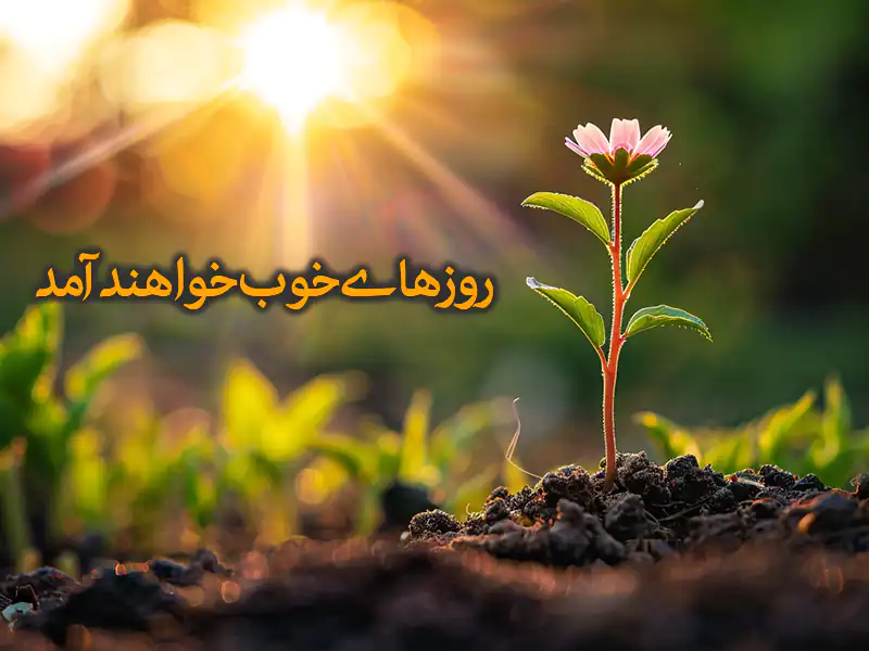 متن امیدوار کننده