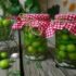 طرز تهیه ترشی گوجه سبز خوشمزه و مجلسی به روش بازاری