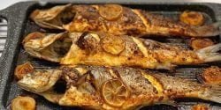 طرز تهیه خوراک ماهی قزل آلا