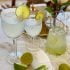 طرز تهیه شربت آلوورا خوشمزه و مخصوص با خواص بی نظیر