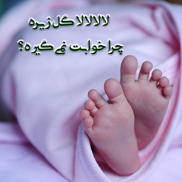 شعر و متن لالایی , متن لالایی گل پونه , لالایی برای پسرا , متن لالایی برای نوزاد پسر