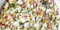 طرز تهیه سالاد گل کلم و شوید مجلسی با مرغ و هویج و سیب زمینی با کشمش رژیمی shghn g gl