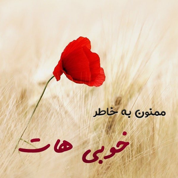 متن تشکر از همسر بابت کادو , تشکر از همسر بابت سوپرایز , متن تشکر از عشقم بابت هدیه