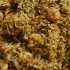 طرز تهیه هواری میگو خوشمزه و مخصوص به روش بوشهری