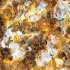طرز تهیه املت هندی خوشمزه و مخصوص با قارچ و گرام ماسالا