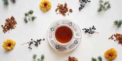 طرز تهیه چای سیب یک دمنوش خوشمزه و سالم با خواص فراوان