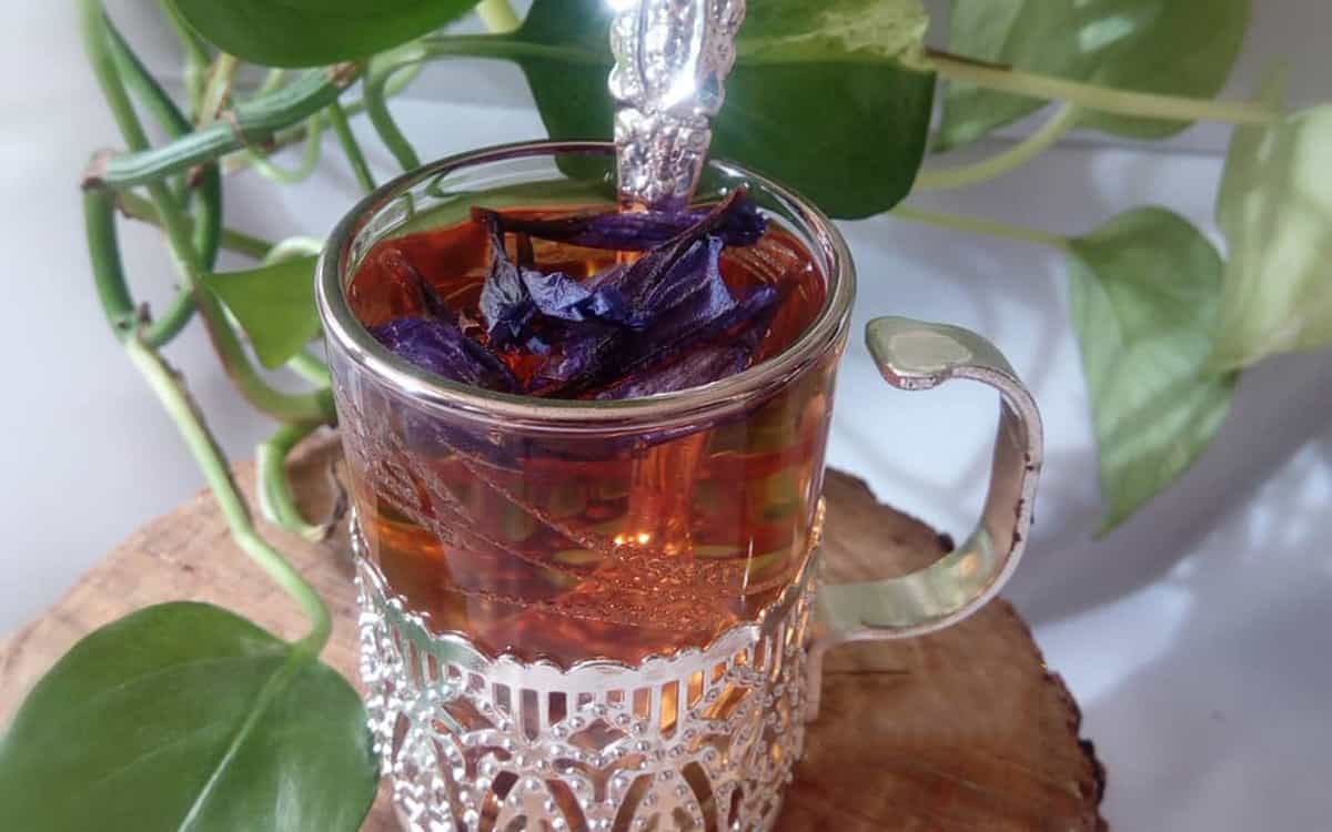 طرز تهیه دمنوش گل گاو زبان
