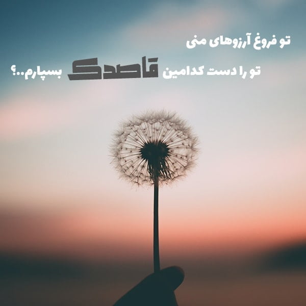 متن در مورد قاصدک , عکس قاصدک , عکس نوشته قاصدک , شعر قاصدک