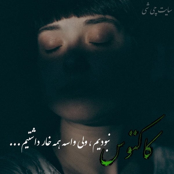 یک بیت شعر درباره کاکتوس عکس نوشته در مورد کاکتوس مطلب در مورد کاکتوس متن انگلیسی در مورد کاکتوس متن خوشگل درباره کاکتوس زندگی مثل کاکتوس متن ادبی در مورد گل و خار متن عاشقانه گل کاکتوس