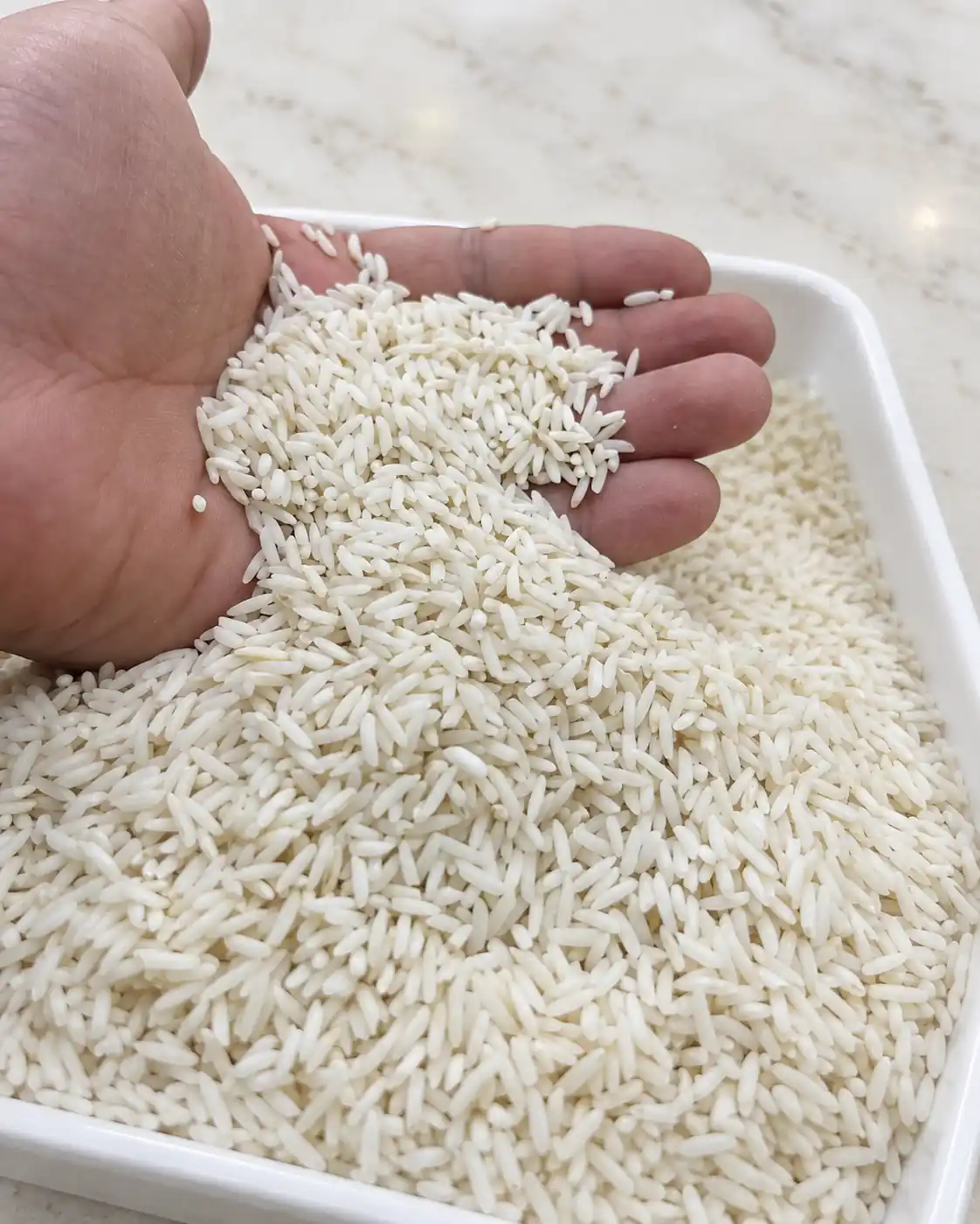از کجا بفهمیم برنج ایرانی است؟ راهنمای تشخیص برنج خوب