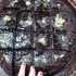 طرز تهیه کیک خیس قابلمه ای خوشمزه و فوری شکلاتی