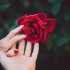دیالوگ های ماندگار عاشقانه خاص از سینمای ایرانی و جهان