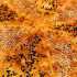 طرز تهیه رولت فطایر گوشت خوشمزه و مخصوص به روش عربی