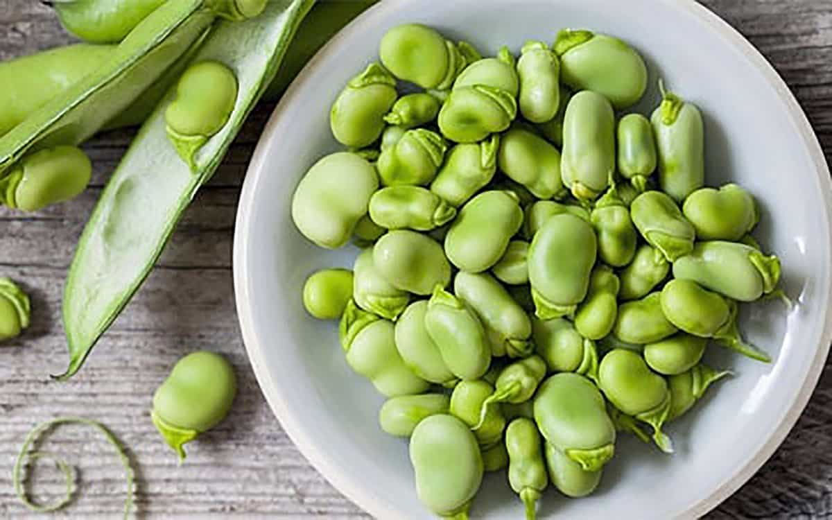 راهنمای خرید باقلا سبز