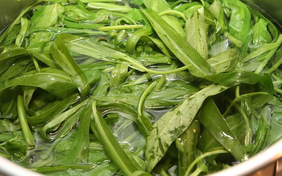 روش های اشتباه شستشوی سبزی