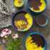 طرز تهیه مشکوفی خوشمزه و مخصوص دسر مجلسی شمالی