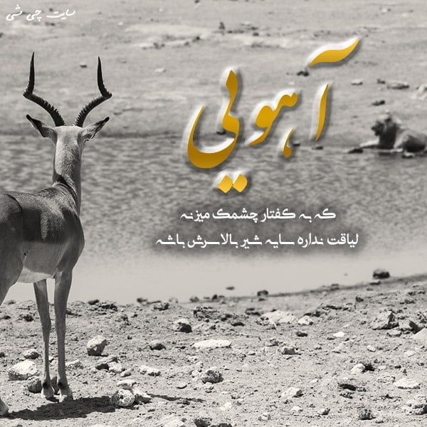 متن در مورد آهو , عکس آهو , تکست آهو برای استوری اینستاگرام