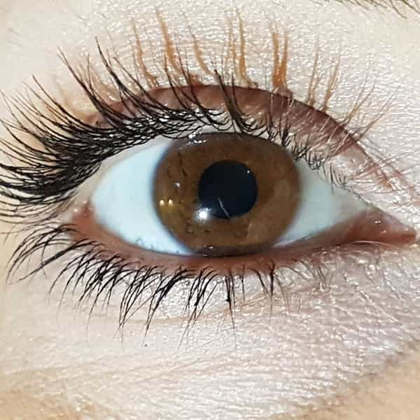 متن در مورد مژه