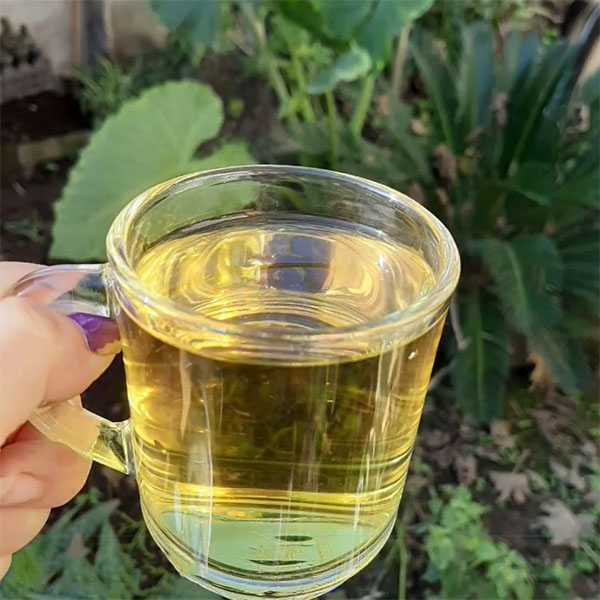 طرز تهیه دمنوش به لیمو
