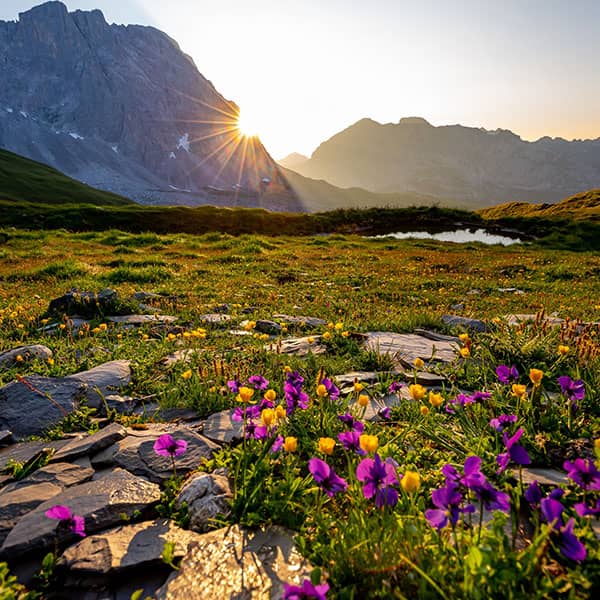 جملات انگیزشی صبحگاهی