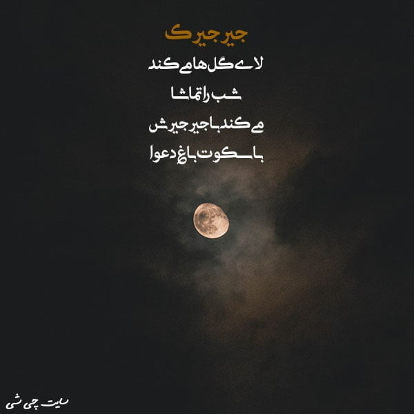 متن در مورد جیرجیرک شعر کودکانه جیرجیرک صدای جیرجیرک انشا درباره صدای جیرجیرک کپشن جیرجیرک معنی شهرو که سکوت گرفت جیرجیرک غرور گرفت