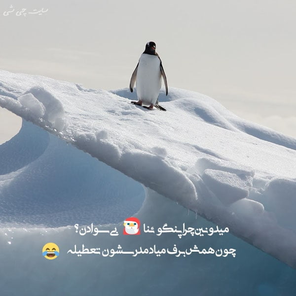 تعطیلات , متن در مورد تعطیلات , عکس نوشته تعطیلات برای استوری و کپشن اینستاگرام