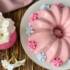 طرز تهیه دسر شامانو خوشمزه به روش مجلسی