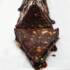 طرز تهیه شکلات آلمانی ساده و خوشمزه به روش اصلی