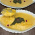 طرز تهیه بورانی کدو حلوایی خوشمزه و ساده به روش خانگی