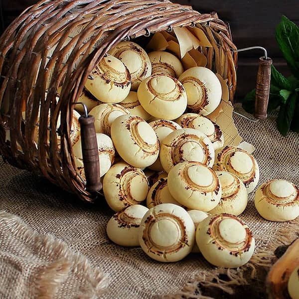 طرز تهیه شیرینی قارچی
