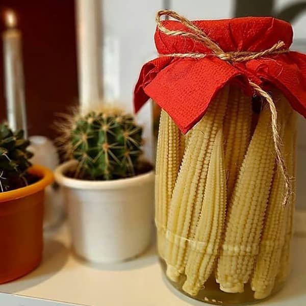 طرز تهیه ترشی بی بی کورن