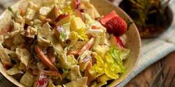 طرز تهیه سالاد سیب خوشمزه و ساده به روش رستورانی