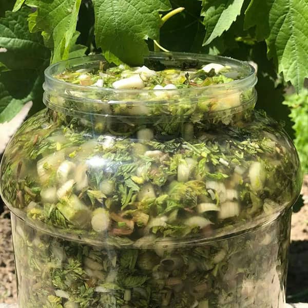 طرز تهیه ترشی مندی