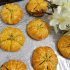 طرز تهیه کلوچه شمالی خوشمزه و ساده به روش سنتی