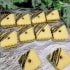 طرز تهیه بیسکویت دارچینی کرم دار ساده به روش خانگی