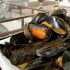 طرز تهیه خوراک صدف خوشمزه و مجلسی به روش رستورانی