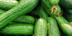 فوت و فن و روش های نگهداری خیار در یخچال یا فریزر