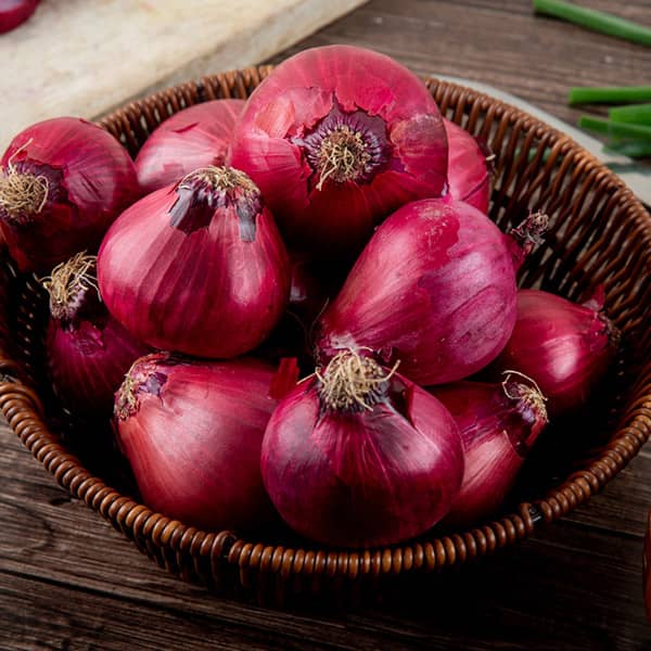 روش نگهداری پیاز