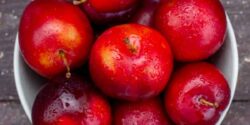 روش نگهداری آلو برای مدت طولانی + نگات فریز کردن