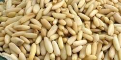 خواص چلغوز برای زنان در کم خونی، قاعدگی و بارداری