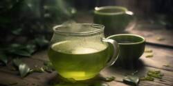 خواص چای سبز برای لاغری + روش مصرف و بهترین زمان