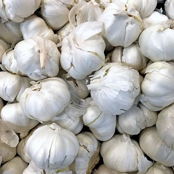 خواص سیر ناشتا