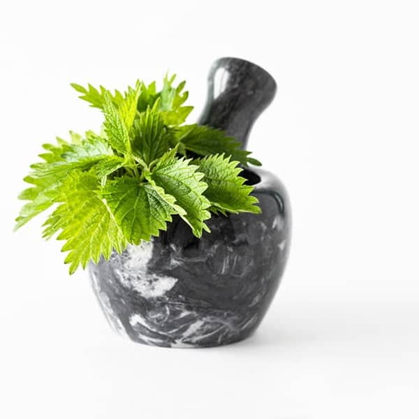 خواص گزنه