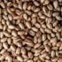 خواص پسته در بدنسازی + افزایش انرژی و تقویت عضلات!