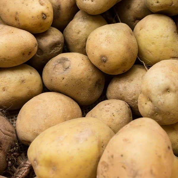خواص سیب زمینی برای بدنسازی