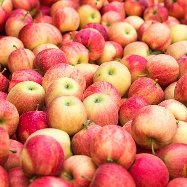 خواص سیب برای معده