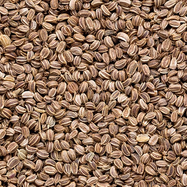 خواص تخم کرفس